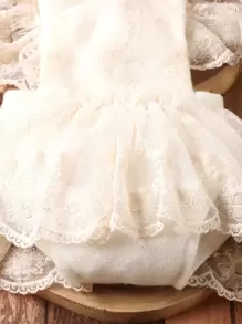 SHEIN Baby Girl Newborn Photography Ruffle Lace Trim Overall Bodysuit & Hat & Shoes - Beige - View 6