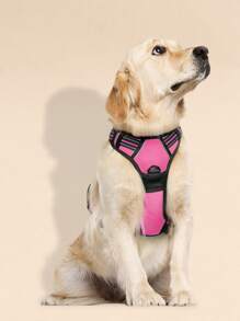 件聚酯反光背心背帶，耐用堅固，適合中型和大型犬，戶外散步和訓練 - 玫紅色 - 查看 2