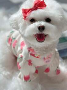 1 áo thun thú cưng in hoa cho chó và mèo cho mùa hè - Đỏ - Xem 8