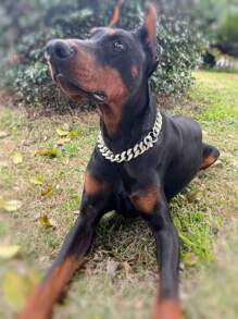 1 pieza con diseño de diamante de imitación Collar para mascotas para perro con gato para Decoración - Multicolor - Ver 1