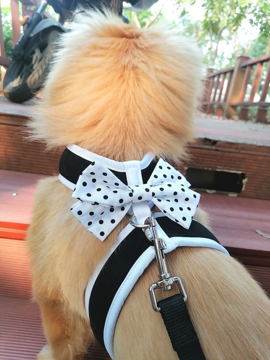 1入組波點圖案蝴蝶結裝飾寵物背帶和1条皮带適用於狗狗和貓適用於戶外 - 黑與白 - 查看 1