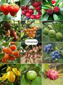 20pcs Solid Color White Plant Grow Bag, PP Drawstring Plant Support Mesh Bag For Home - White - View 5