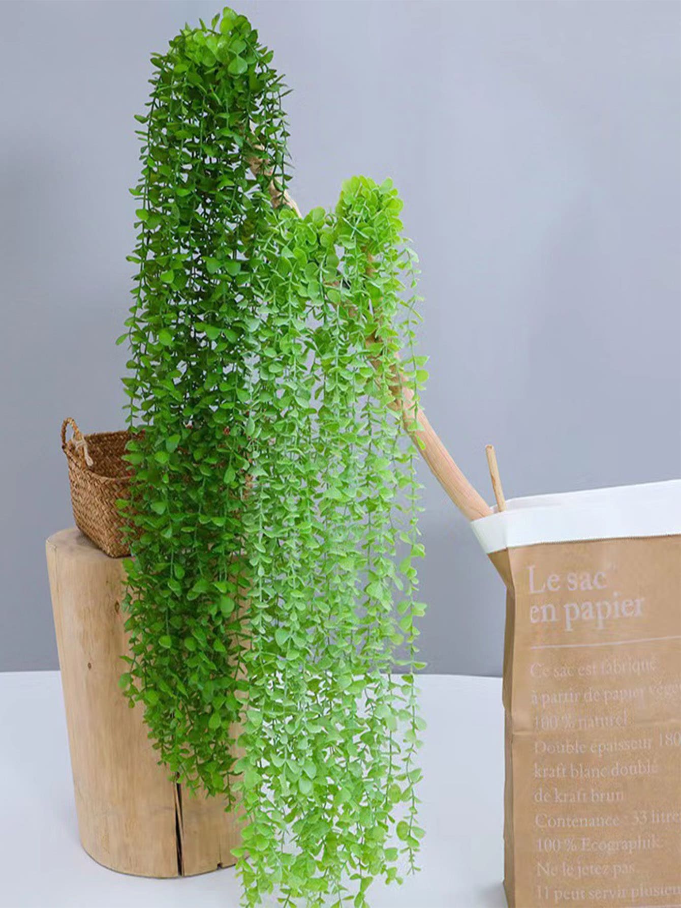 1 件人造叶藤，假植物