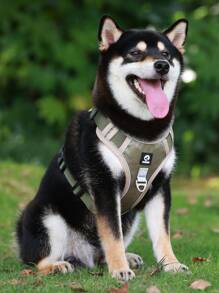 1入組戶外狗用無拉式寵物背帶 - 咖啡棕 - 查看 1