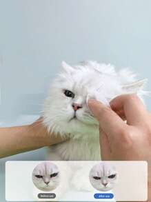 1box Pet Eye Cleaning Wipe For Dog And Cat For Cleaning - White - View 2