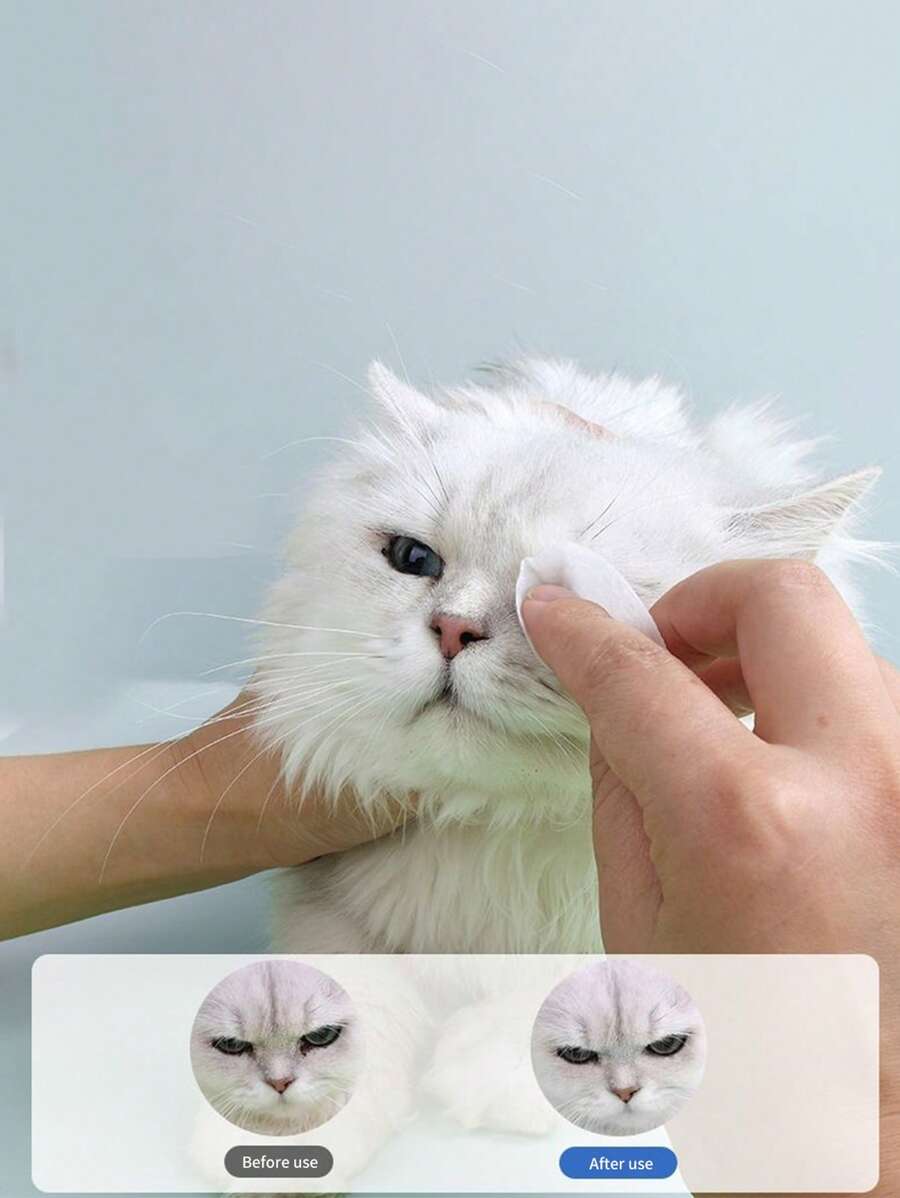 1box Pet Eye Cleaning Wipe For Dog And Cat For Cleaning