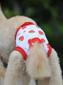 1 quần vệ sinh thú cưng in hình quả dâu tây cho chó và mèo khỏe mạnh - Nhiều màu - Xem 2