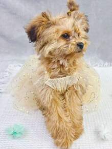 1pc Bow Decor Pet Dress For Dog And Cat For Summer - Champagne - View 3