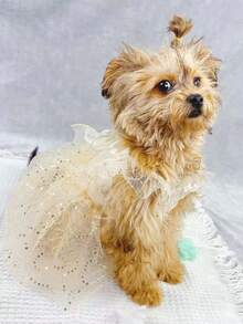 1pc Bow Decor Pet Dress For Dog And Cat For Summer - Champagne - View 4