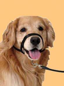 Bịt miệng thú cưng bằng nylon rọ mõm chó Pet Mouth Rope Stop Barking Bite Proof Burst Proof (thích hợp cho chó cỡ nhỏ) - màu đen - Xem 2