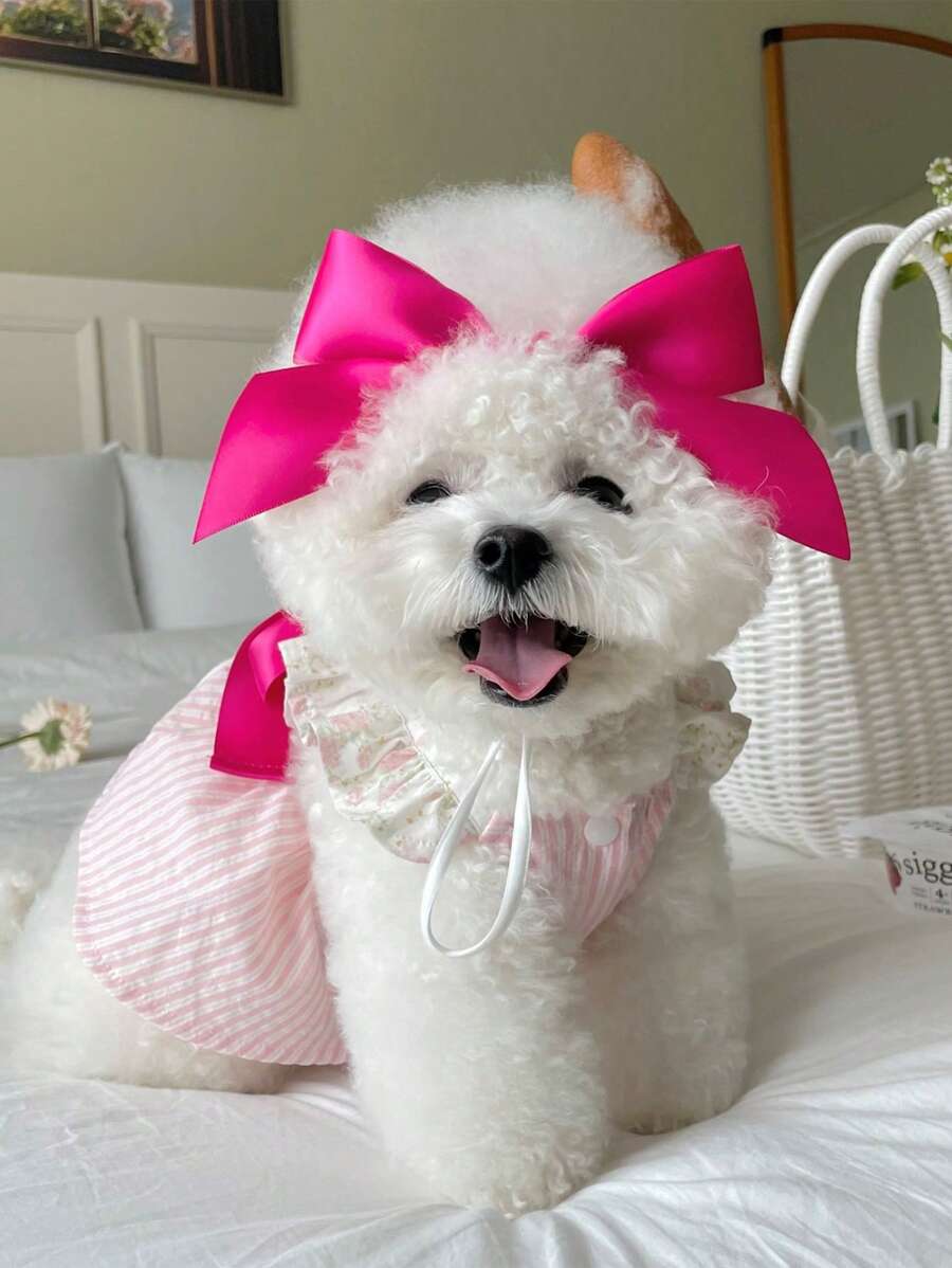 1pc Bow Decor Random Pet Headwear For Cat For Decoration - Multicolor - View 1