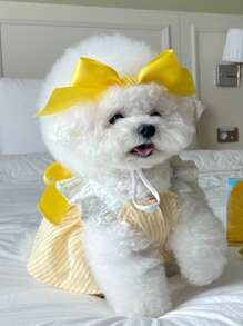 1pc Bow Decor Random Pet Headwear For Cat For Decoration - Multicolor - View 4