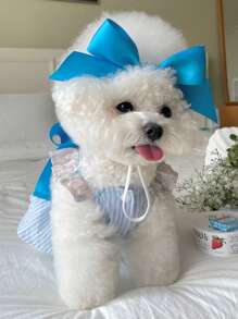 1pc Bow Decor Random Pet Headwear For Cat For Decoration - Multicolor - View 5