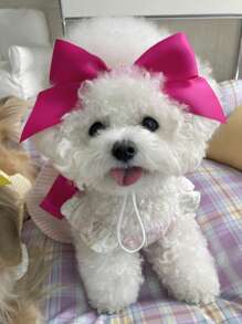 1pc Bow Decor Random Pet Headwear For Cat For Decoration - Multicolor - View 6