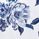 Xanh và trắng