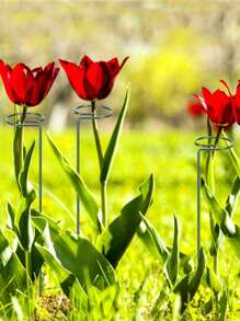 1 件绿色植物支撑桩，简易铁制植物桩，适用于户外、花园、园林工具、园艺工具 - 綠色 - 查看 4