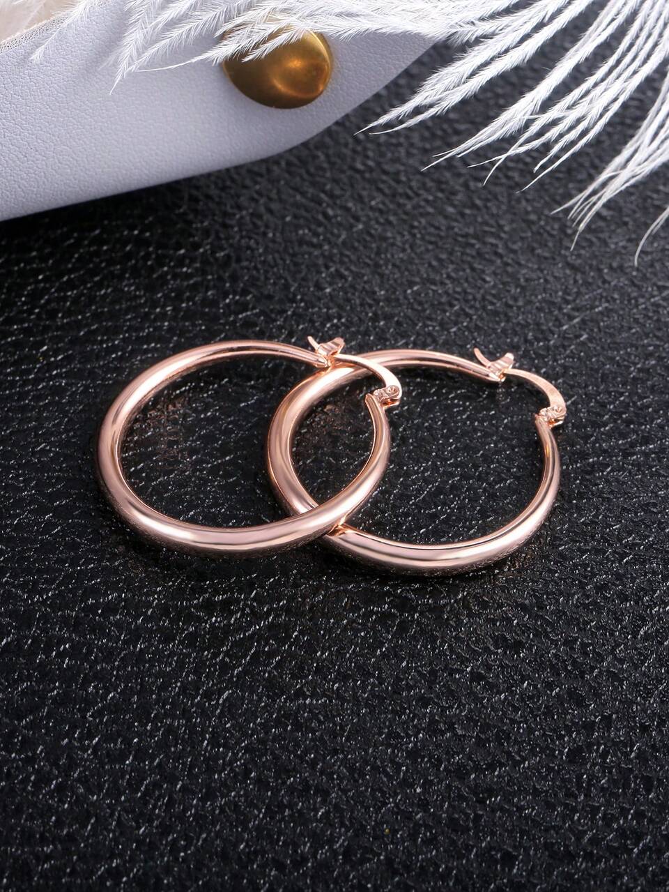 1 Pair Fashionable Minimalist Hoop Earrings, Suitable For Women's Daily Wear