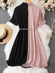 SHEIN LUNE 大碼雙色前排扣腰帶襯衫連衣裙 - 彩色 - 查看 2