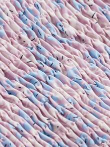 Ditsy Floral Print Puff Sleeve Crop Shirred Blouse - Multicolor - View 3