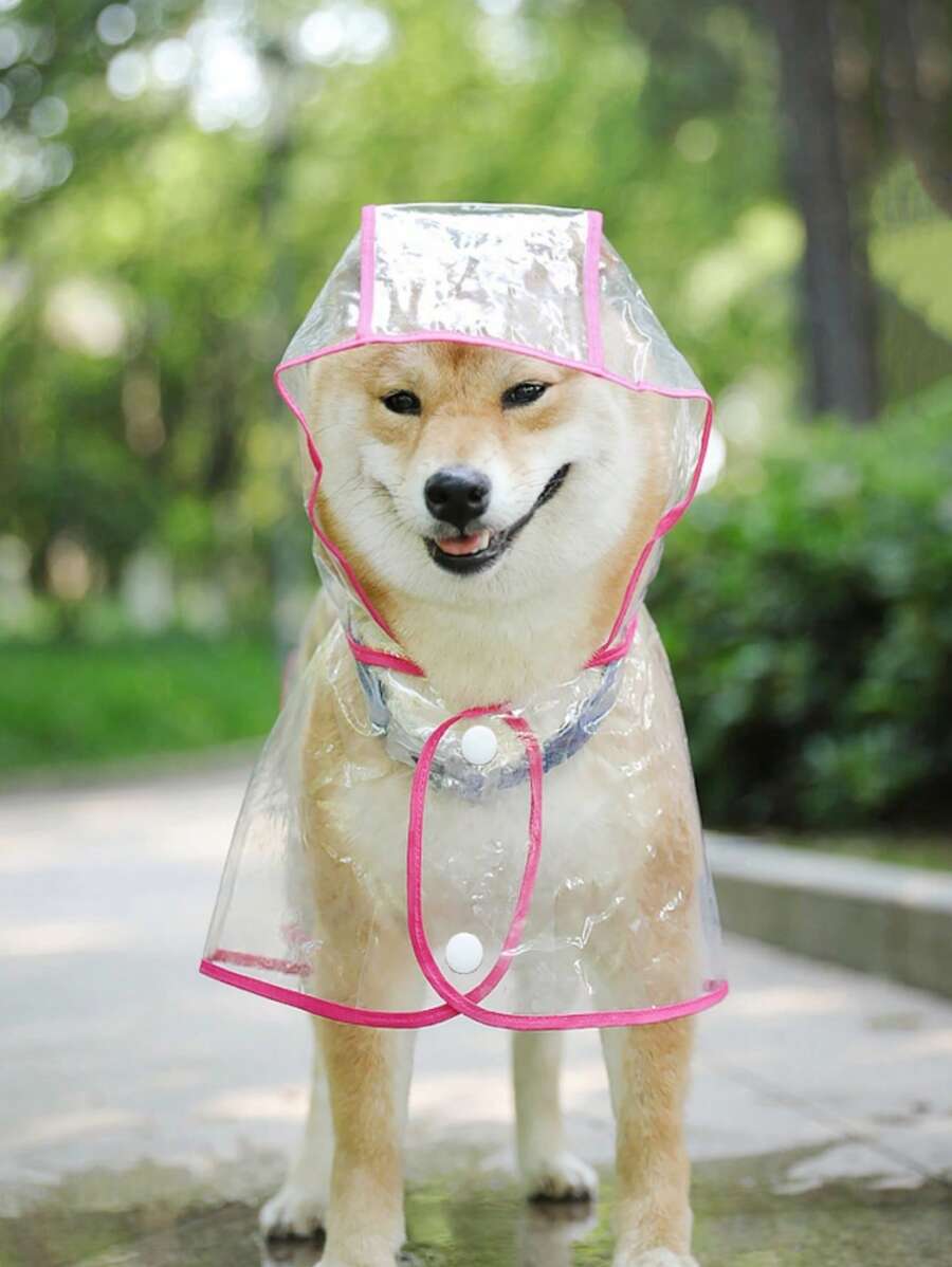 1pc Clear Pet Raincoat - Hot Pink - View 1