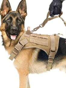 1入組可調節寵物背帶和1入組寵物牽引繩適用於狗狗和貓適用於四季 - 棕色 - 查看 2