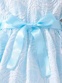 Girls Jacquard Puff Sleeve Dress - Blue - View 4