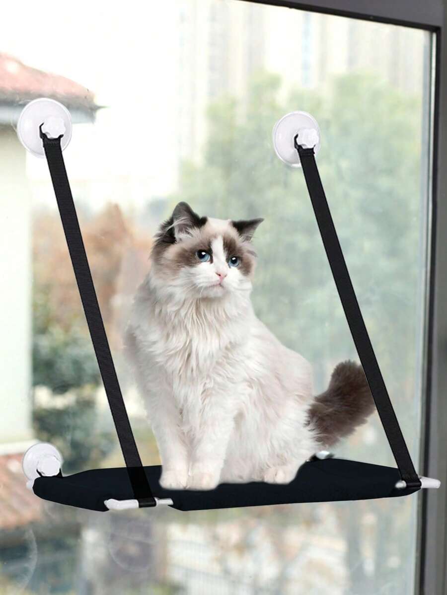 1pc Suction Cup Design Pet Window Perch For Dog And Cat For Play - Black - View 1