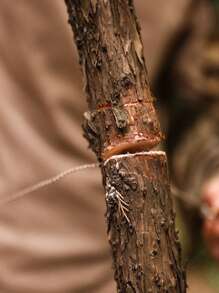 Stainless Steel Pocket Wire Saw, Compact Survival Hand Saw Tool Camping - Silver - View 2