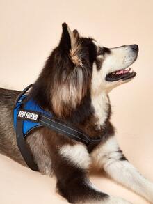 Dây nịt Thú cưng Sọc ca rô - Màu xanh lam - Xem 3