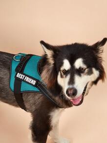 1入組字母貼飾寵物背帶適用於狗狗適用於戶外 - 綠色 - 查看 1