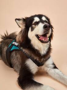 1入組字母貼飾寵物背帶適用於狗狗適用於戶外 - 綠色 - 查看 3