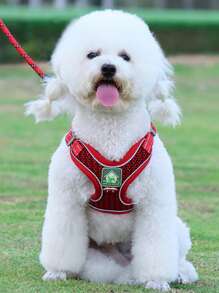 1pc Breathable Pet Harness & 1pc Pet Leash For Dog For Outdoor