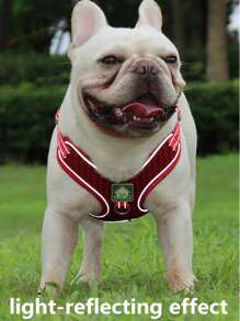 1pc Breathable Pet Harness & 1pc Pet Leash For Dog For Outdoor