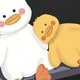 Nhiều màu