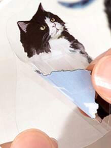 40入組貓樣式貼紙 - 彩色 - 查看 4