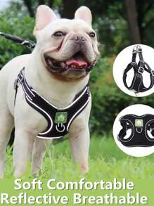 1入組反光寵物背帶和1条皮带適用於狗狗適用於戶外 - 黑色 - 查看 9