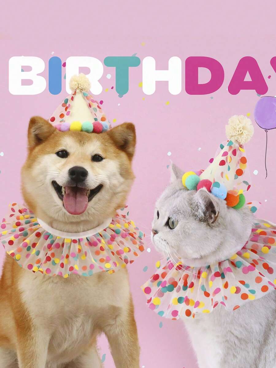 1入組絨球裝飾寵物帽子和1入組波點圖案寵物圍巾適用於狗狗和貓適合派對 - 彩色 - 查看 1