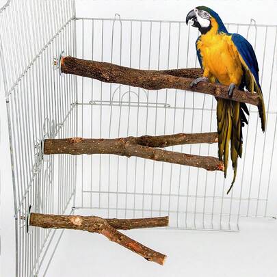 Giá đỡ bằng gỗ hình cành cây đôi cho chim, có thể cào và gặm (1/2 chiếc), hình dạng cành cây ngẫu nhiên, phù hợp cho mọi mùa.