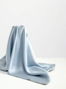 1个白色/咖啡金色/蓝色/米色/香槟色22mm纯桑蚕丝枕套，尺寸：48*74cm/50*70cm/50*75cm/60*60cm/70*70cm/51*91cm - 藍色 - 查看 3