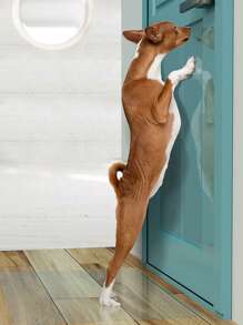 Transparent Vinyl Stickers For Furniture & Door Scratch Protection From Dog & Cat, S(5pcs)/m(5pcs)/l(1roll)/xl(1roll) - Clear - View 3