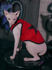 ROMWE 1入組星星圖案寵物背心適用於小狗和貓