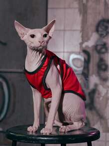 ROMWE 1入組星星圖案寵物背心適用於小狗和貓