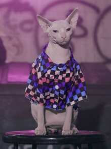 ROMWE 1 áo sơ mi thú cưng họa tiết kẻ sọc cho chó mèo - Nhiều màu - Xem 5