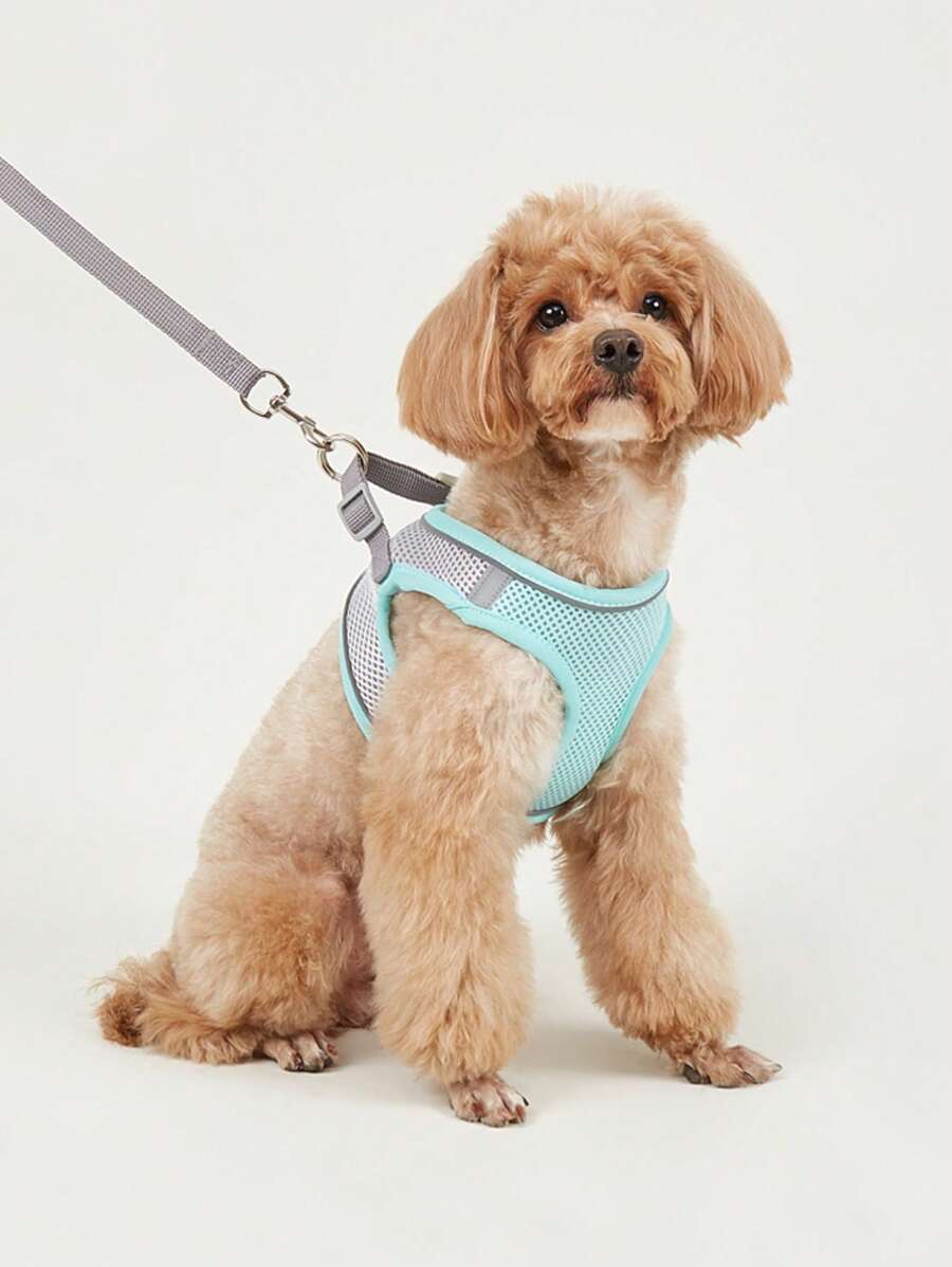 1入組透氣寵物背帶和1入組寵物牽引繩適用於狗狗適用於戶外 - 薄荷綠 - 查看 1