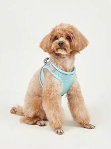 1入組透氣寵物背帶和1入組寵物牽引繩適用於狗狗適用於戶外 - 薄荷綠 - 查看 5
