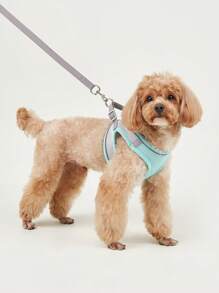 1入組透氣寵物背帶和1入組寵物牽引繩適用於狗狗適用於戶外 - 薄荷綠 - 查看 6