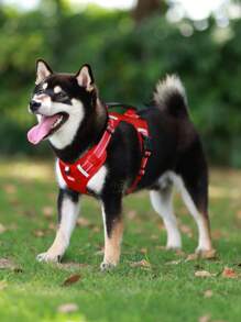 1pc No Pull Pet Harness For Dog For Outdoor - Red - View 8