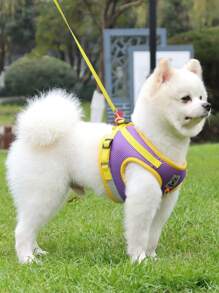 1 dây nịt thú cưng phản quang & 1 dây xích thú cưng cho chó ngoài trời - Màu tím - Xem 1