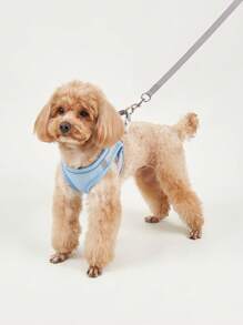 1pc Breathable Pet Harness & 1pc Pet Leash For Dog For Outdoor - Blue - View 2