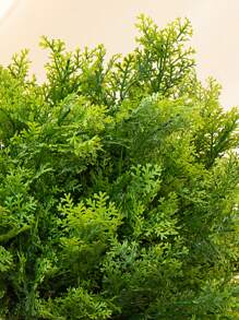 1pc Artificial Plant - Green - View 5